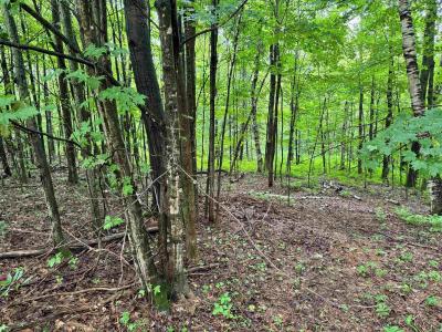 00 Morin Drive Lot 6R, Jay, Vermont 05859
