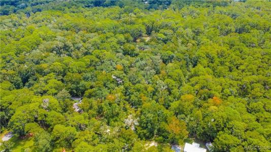 Homosassa, Florida 34448, Stati Uniti