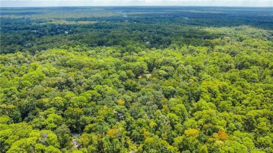 Homosassa, Florida 34448, Stati Uniti