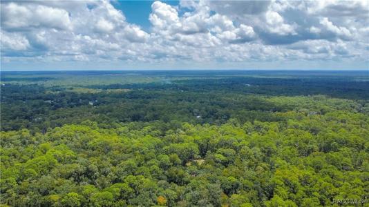 Homosassa, Florida 34448, Stati Uniti