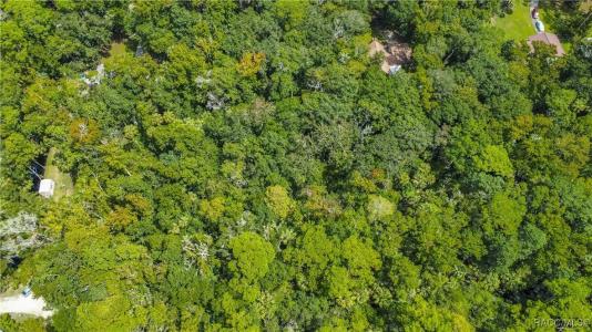 Homosassa, Florida 34448, Stati Uniti