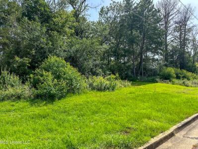 109 Woodchase Park Drive, Clinton, Миссисипи 39056, Соединенные Штаты