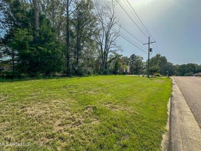 109 Woodchase Park Drive, Clinton, Mississippi 39056, Amerika Birleşik Devletleri