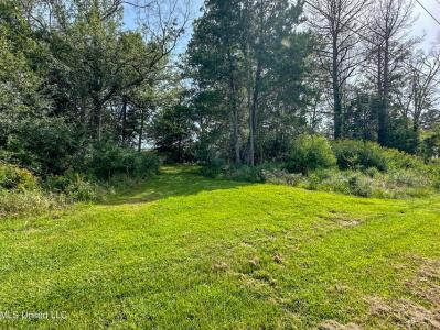 109 Woodchase Park Drive, Clinton, Mississippi 39056, Amerika Birleşik Devletleri
