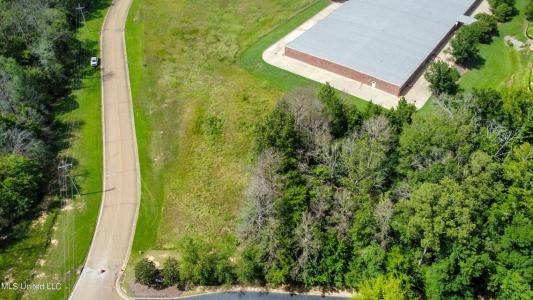 131 Woodchase Park Dr., Clinton, ميسيسيبي 39056, الولايات المتحدة