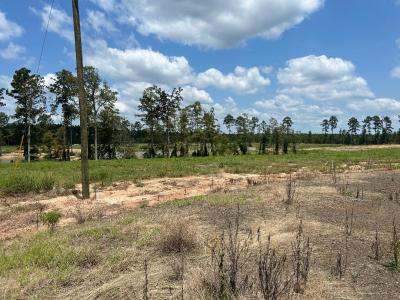 0 Carribean Drive, Florien, Louisiana 71429