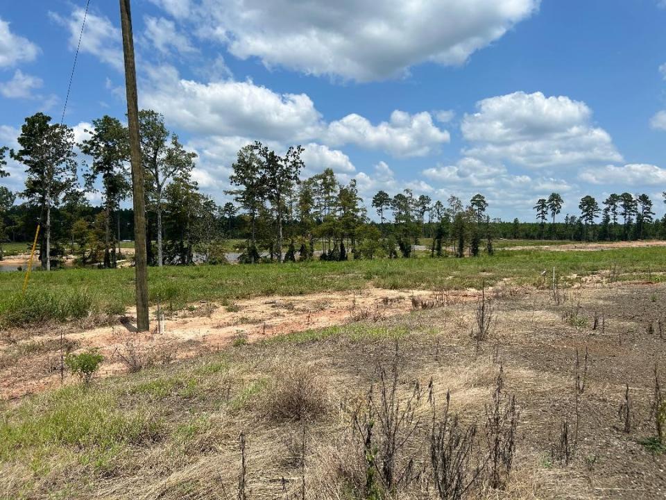 0 Carribean Drive, Florien, Louisiana 71429, USA