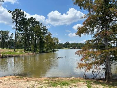 0 Carribean Drive, Florien, Louisiana 71429, USA