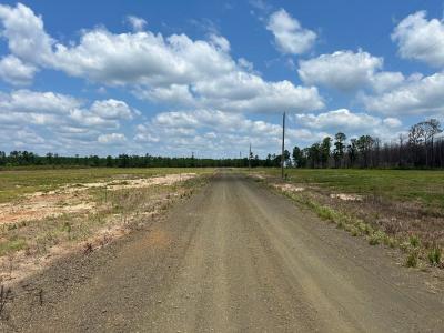 0 Carribean Drive, Florien, Louisiana 71429, USA