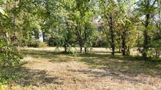 000 E Lindon Street, Bolivar, Missouri 65613