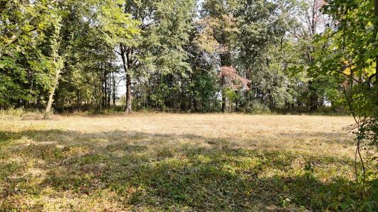 000 E Lindon Street, Bolivar, Missouri 65613