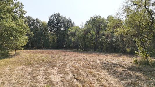 000 E Lindon Street, Bolivar, Missouri 65613