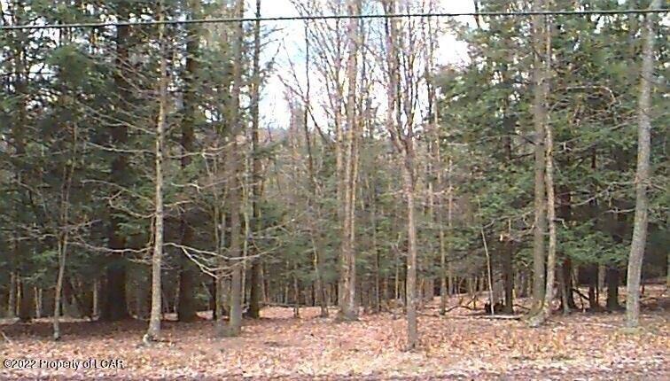 AW lot 18 Arapahoe Lane, Hazleton, Pennsylvania 18202, Amerika Birleşik Devletleri