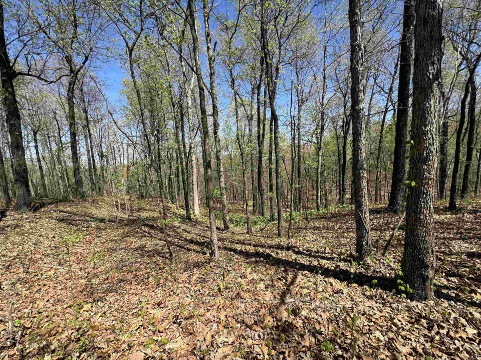 0 County Road 431, Pollard, Arkansas 72456
