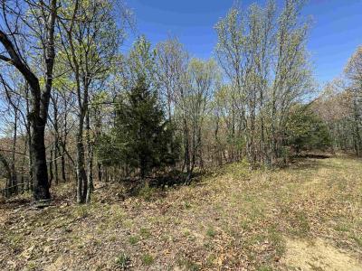 0 County Road 431, Pollard, Arkansas 72456, USA