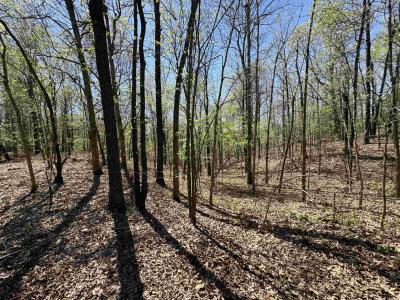 0 County Road 431, Pollard, Arkansas 72456