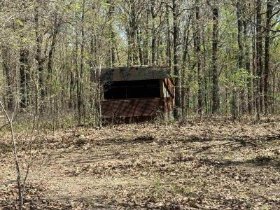 0 County Road 431, Pollard, Arkansas 72456