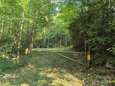TBD Doe Branch Road, Marshall, North Carolina 28753