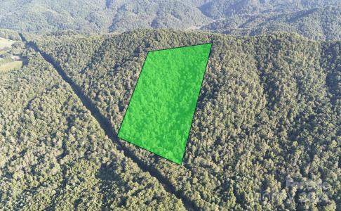 TBD Doe Branch Road, Marshall, North Carolina 28753