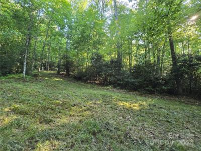 TBD Doe Branch Road, Marshall, North Carolina 28753