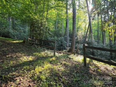 TBD Doe Branch Road, Marshall, North Carolina 28753