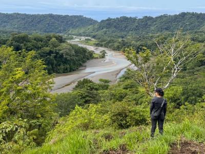 Montelimar Carara Turrubáres, San José 00001, 哥斯達尼加