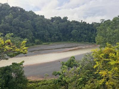 Montelimar Carara Turrubáres, San José 00001, 哥斯達尼加