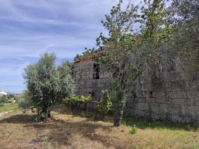 Santa Comba Dão, Визеу 3440-454, Португалия