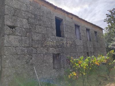 Santa Comba Dão, Viseu 3440-454, Portugal