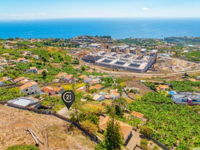 Funchal, Madeira 9000-702, Portugal