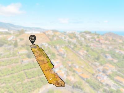 Funchal, Madeira 9000-702, Portugal