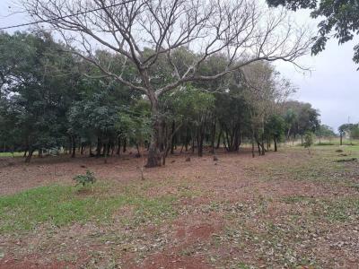 San Bernardino, Cordillera 00001, Paraguay