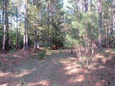 0 Mariners Way Lot 39, Lincolnton, Geórgia 30817, Estados Unidos