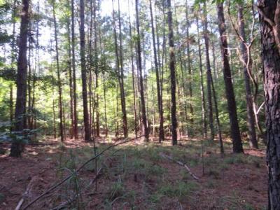 0 Mariners Way Lot 39, Lincolnton, Geórgia 30817, Estados Unidos