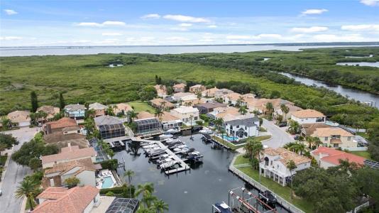 10713 Cape Hatteras Drive, Tampa, Florida 33615, Estados Unidos