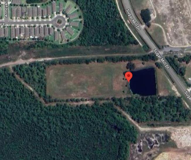 390 Sugar Mill Drive, New Smyrna Beach, 佛羅里達州 32168, 美國
