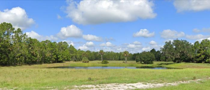 390 Sugar Mill Drive, New Smyrna Beach, Florida 32168, USA