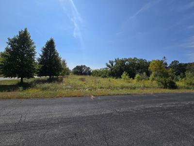 40342 N Belle Foret Drive, Wadsworth, Illinois 60083