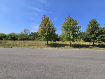 40342 N Belle Foret Drive, Wadsworth, Illinois 60083