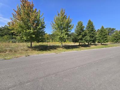 40342 N Belle Foret Drive, Wadsworth, Illinois 60083, USA