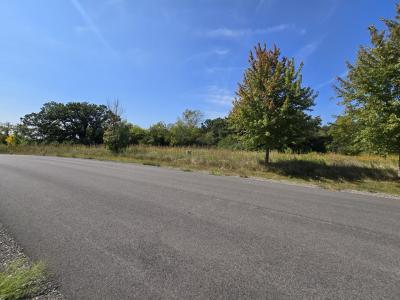40342 N Belle Foret Drive, Wadsworth, Illinois 60083