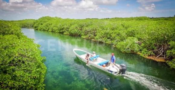Xcalak sn,, Othon P Blanco, Quintana Roo 77940, Mexico