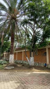 Santa Rosa Panzacola S/N,, Oaxaca De Juárez, Oaxaca 68274, México