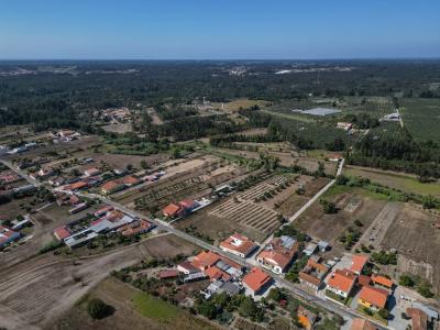 Montemor O Velho, 科英布拉 3140-252, 葡萄牙