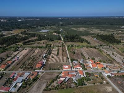 Montemor O Velho, 科英布拉 3140-252, 葡萄牙