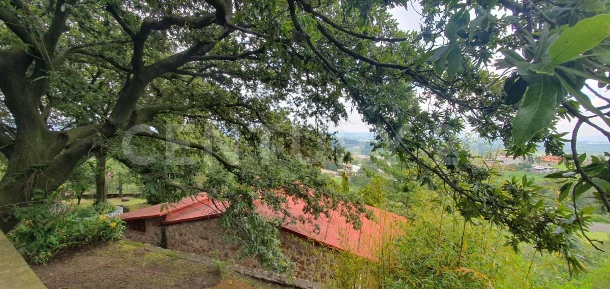 10936 Cañada de San Miguel ,, Tepotzotlan, Estado De México 54650, Mexiko