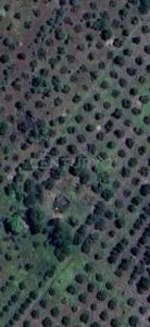 Montemorelos, Nuevo León 67500, Mexique