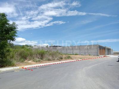 Zempoala 104,, Montemorelos, Nuevo León 67610, Mexique