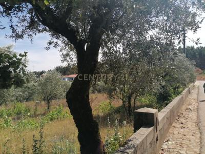 Figueiró Dos Vinhos, Leiria 3260-000, Portogallo