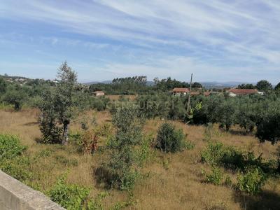 Figueiró Dos Vinhos, Leiria 3260-000, Portogallo